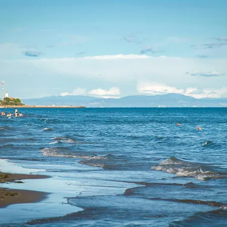 In 45682 Бибионе