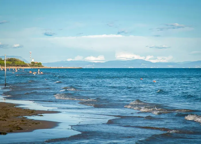 In 45682 Бибионе