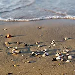 In 45682 Bibione